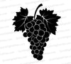 "Silhouette of grape vine with detailed grapes and leaves in black graphic art."