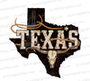 Vintage Texas t-shirt graphic PNG
