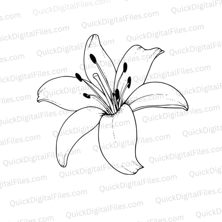 "Black and white lily flower SVG for elegant DIY projects."