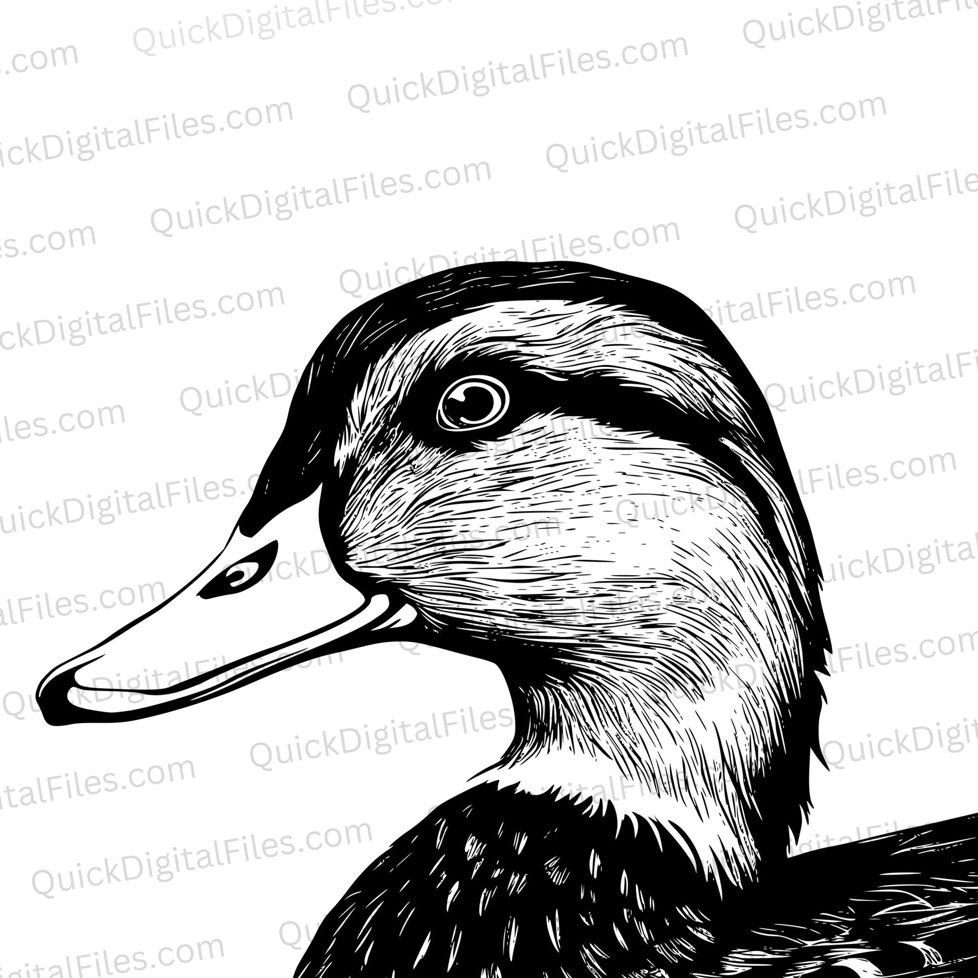 "Detailed Duck Head and Neck Silhouette SVG, PNG, JPEG"