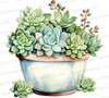 Rustic Hen and Chicks Plant Watercolor Clipart in Brown Pot