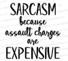 "Funny sarcasm quote SVG for crafting humorous t-shirts and decor."