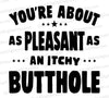 "Humorous Text Graphic 'You're About As Pleasant As An Itchy Butthole'"