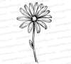 "Detailed Daisy Flower SVG Black and White"