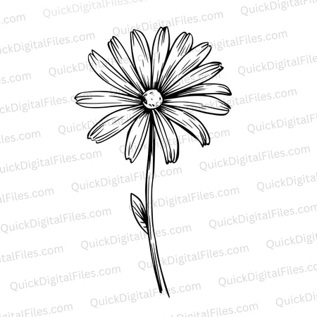 "Detailed Daisy Flower SVG Black and White"