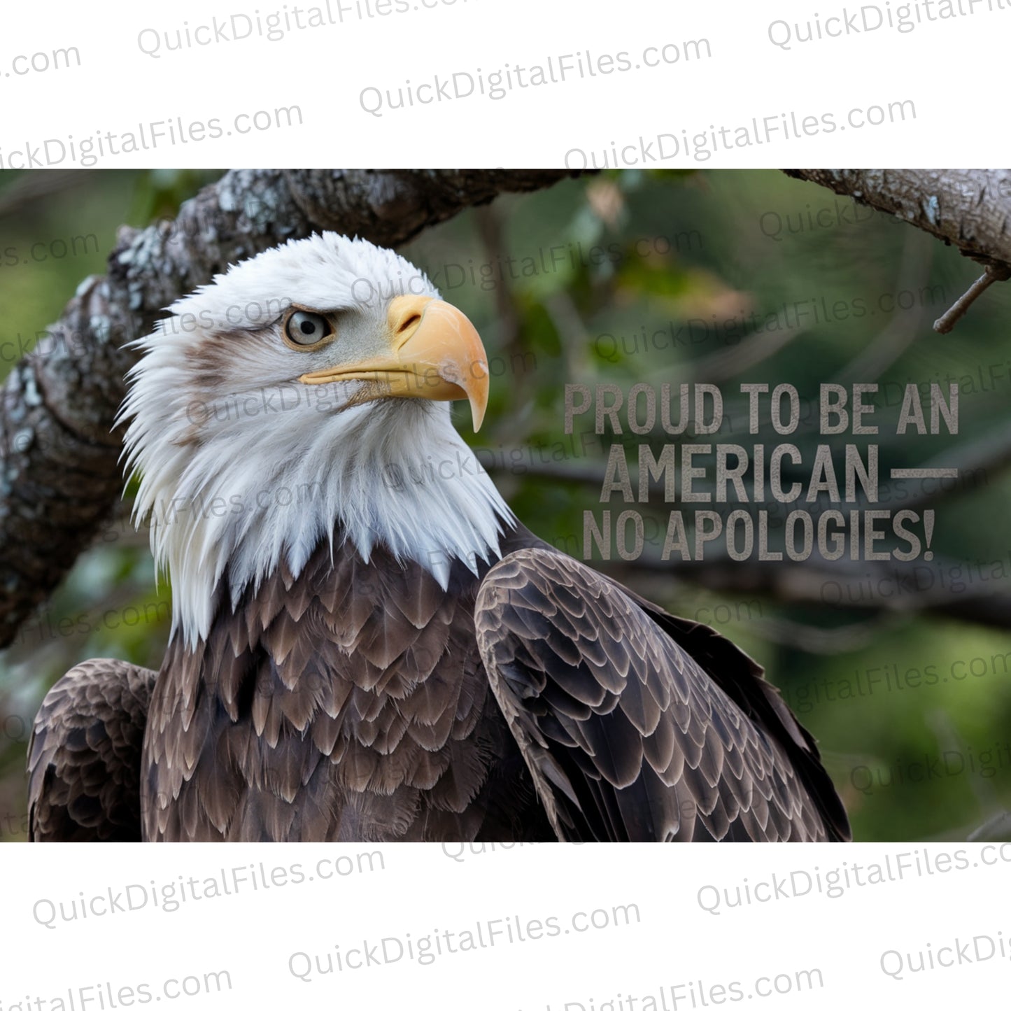 Proud to Be an American picture with bald eagle and flag reflection

