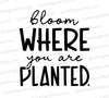 Bloom Where You Are Planted SVG