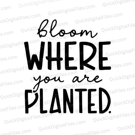 Bloom Where You Are Planted SVG