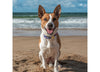 "Brown and white dog sitting on beach digital photo download."