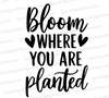 "Bloom Where You Are Planted Motivational Quote SVG, PNG, JPEG, PDF"