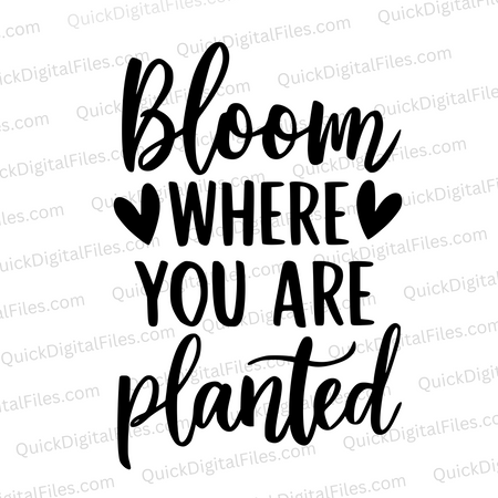 "Bloom Where You Are Planted Motivational Quote SVG, PNG, JPEG, PDF"
