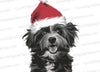 Christmas Dog in Santa Hat - Festive Graphic Art Download png jpeg