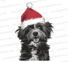 Christmas Dog in Santa Hat - Festive Graphic Art Download png jpeg