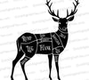 "SVG deer anatomy guide with detailed labels."