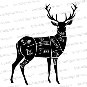 "SVG deer anatomy guide with detailed labels."