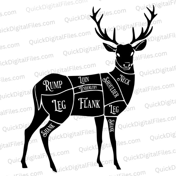 "SVG deer anatomy guide with detailed labels."