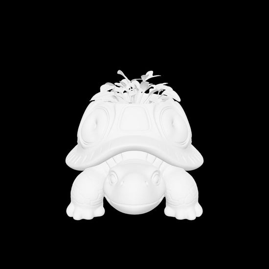 turtle 3D model
