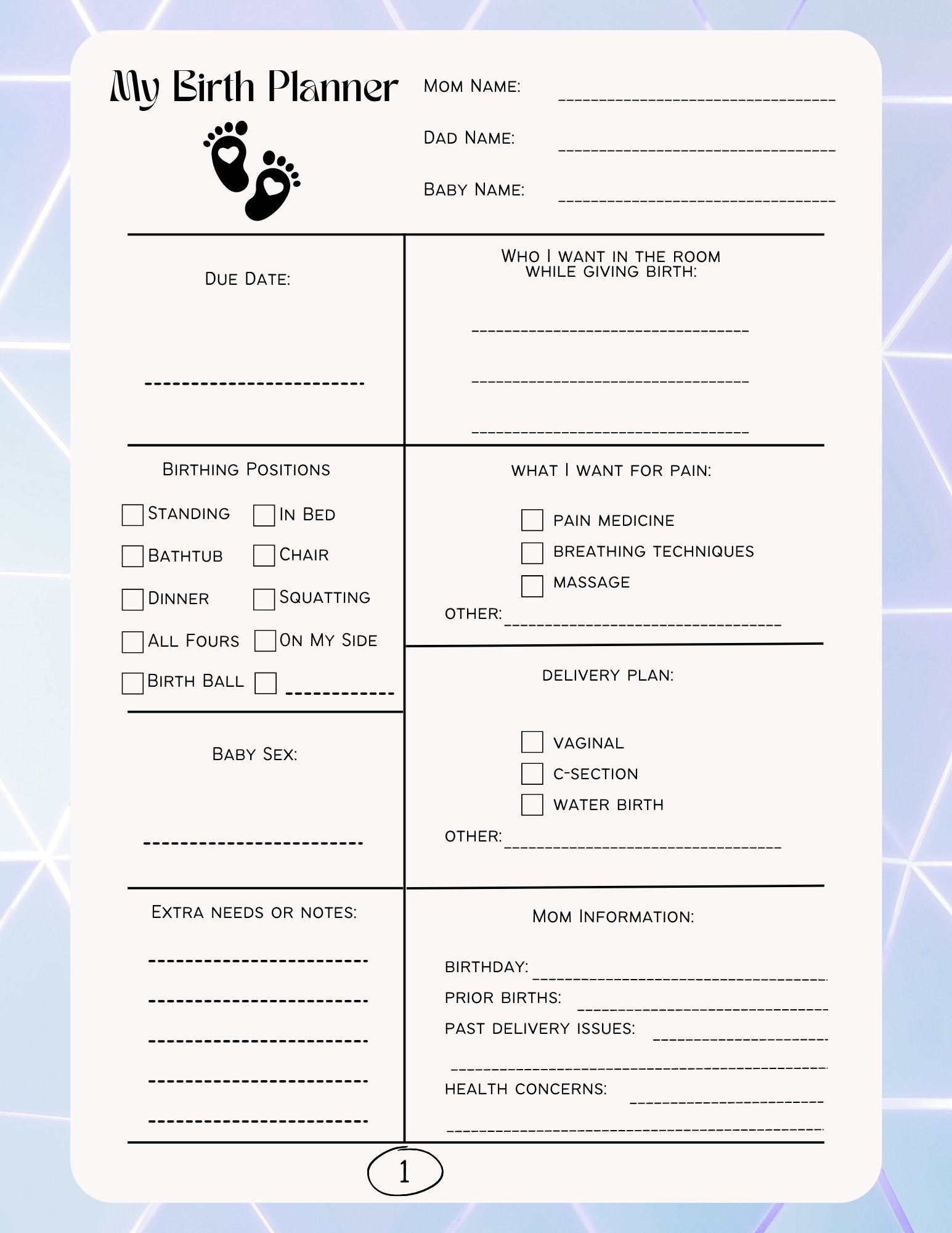Printable Birthing Planner