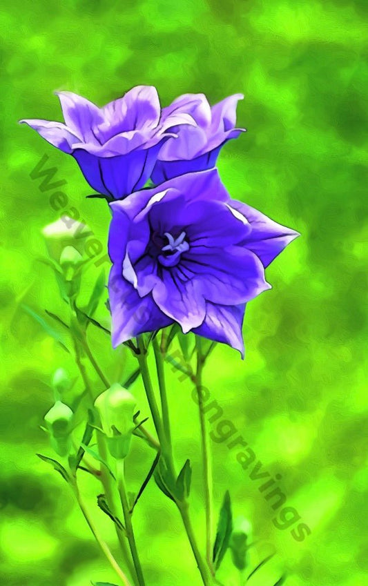 "Digital oil painting of purple flowers in nature, available in PNG, SVG, JPEG."