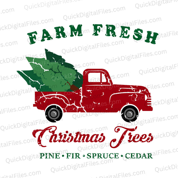 Farmhouse holiday design with pine, fir, spruce, and cedar trees.
