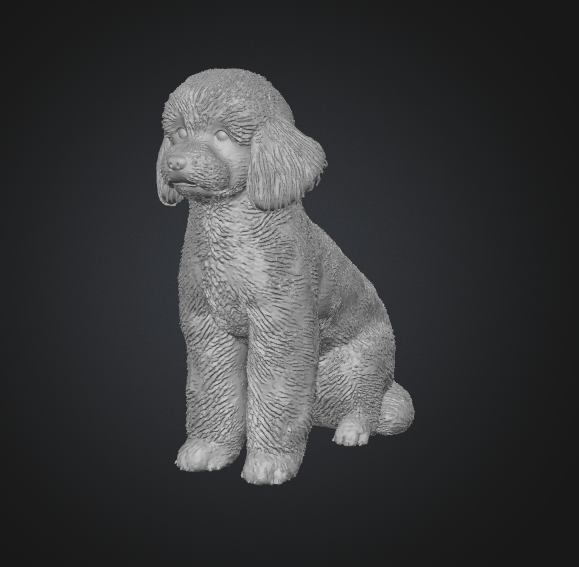 sitting poodle dog 3d print model
