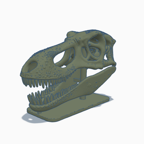 t rex skull 3d model
