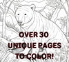 "Downloadable Zoo Creatures Coloring Book Pages"