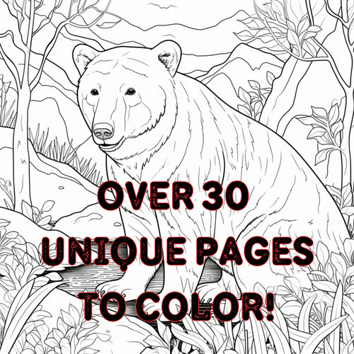 Zoo Creatures Coloring Book: PNG