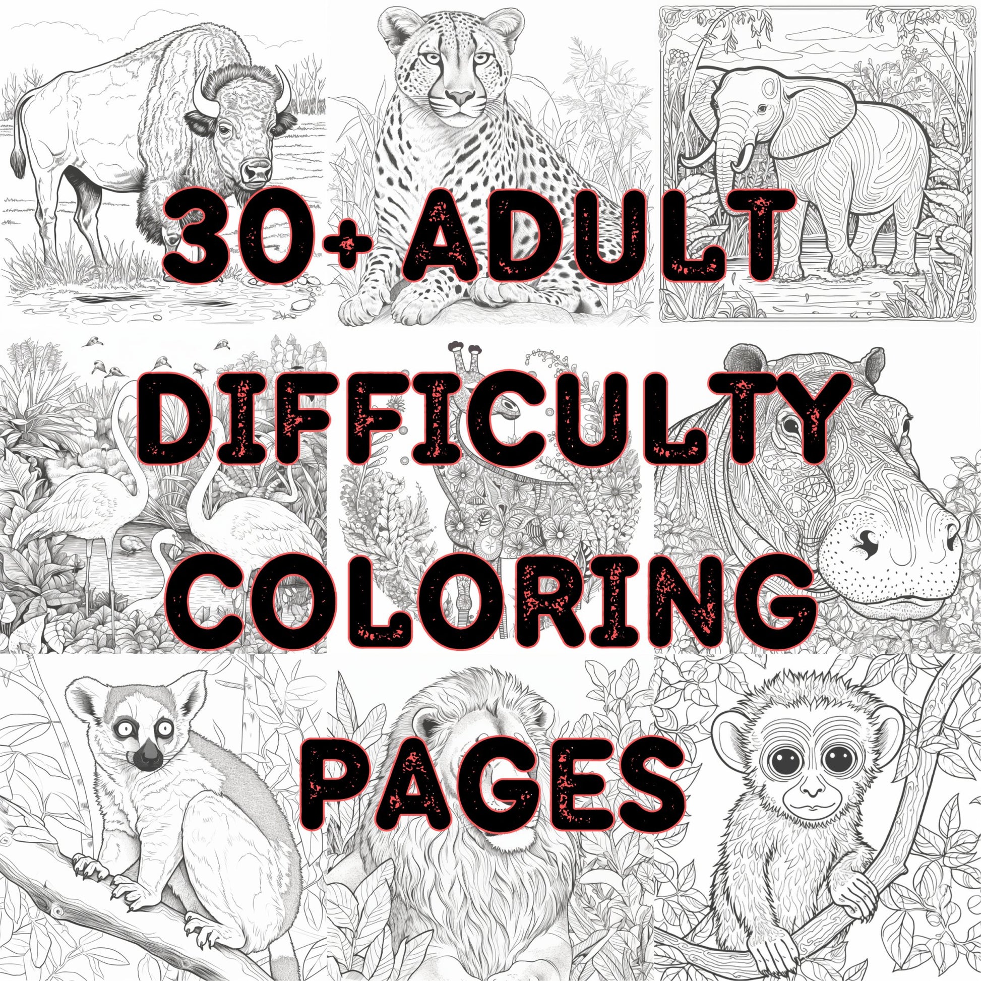 "Zoo Animal Collection Digital Coloring Pages PNG"