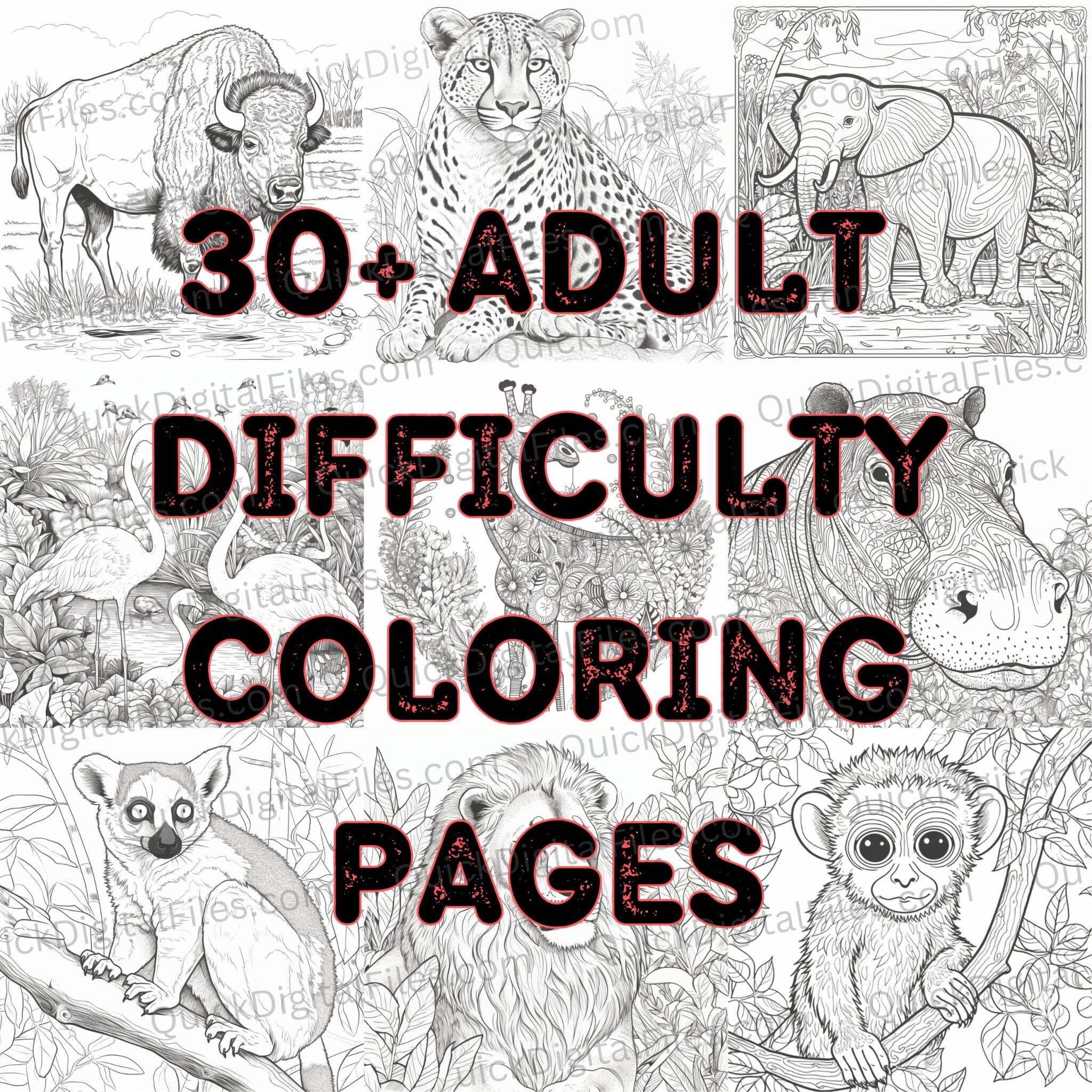 coloring pages adult